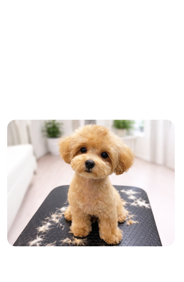 安心できる空間でその子らしく