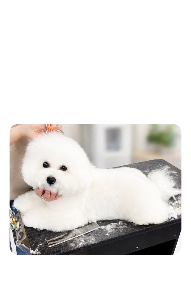 安心できる空間でその子らしく