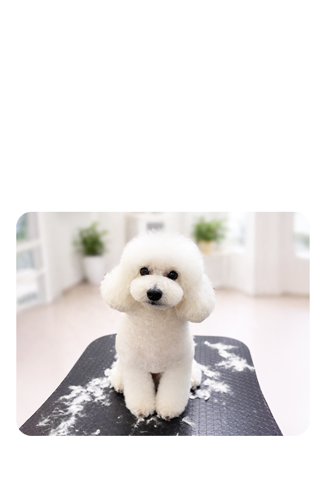 安心できる空間でその子らしく